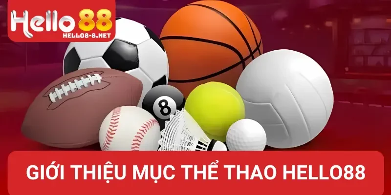 Sơ lược về chuyên mục thể thao Hello88